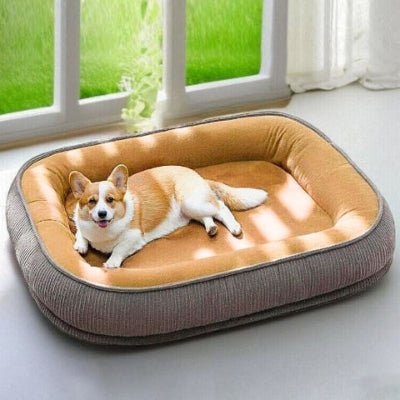 Corgi couché dans un panier chien Pisco marron déhoussable et lavable en machine