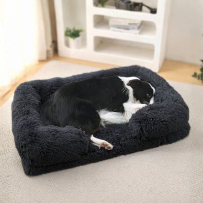 border collie couché dans un panier chien solido noir avec gaine imperméable