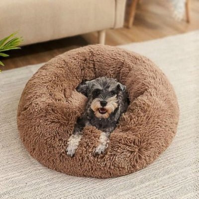 schnauzer allongé dans panier chien veluti marron non déhoussable mais lavable