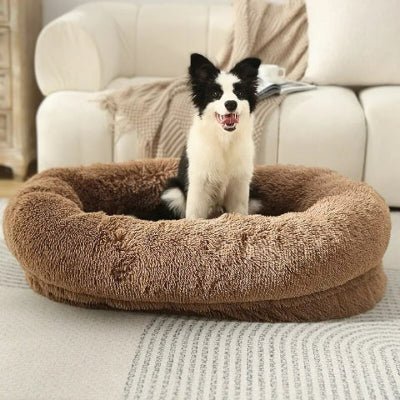 Border collie assis dans un panier chien XXL Cajo marron douillet et durable