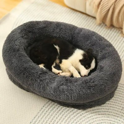 Border collie assis dans un panier chien XXL Cajo gris foncé ovale enveloppant