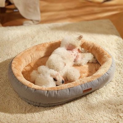 caniche toy couché dans panier pour chien oxelior gris avec base antidétapante