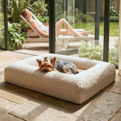 Yorkshire terrier allongé dans un panier pour chien Dival beige imperméable