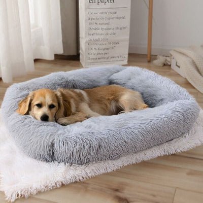 golden allongé panier xxl pour chien gris clair anti-stress