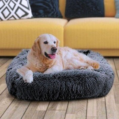 golden retriever couché dans un panier xxl pour chien serenis gris foncé lavable