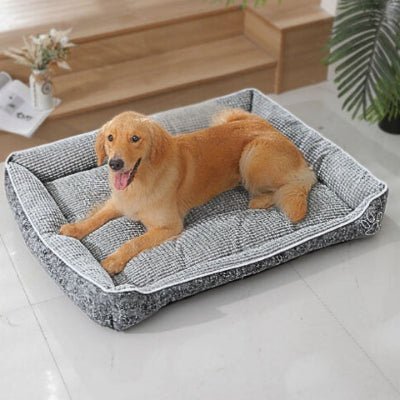 golden retriever couché dans un panier xxl pour chien gris