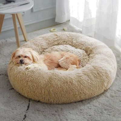 lhassa apso allongé dans un panier xxl pour chien beige antidérapant