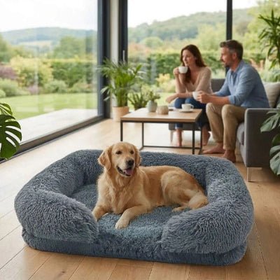 golden retriever dans un panier xxl pour chien alveolis gris foncé déhoussable