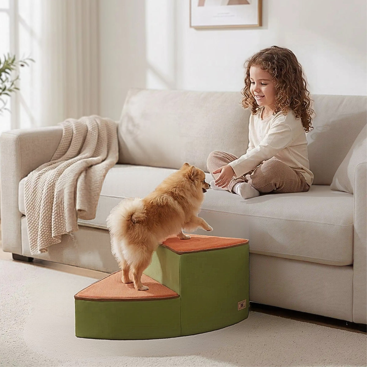 Un poméranien sur un petit escalier pour chien Elivelle 2 marches