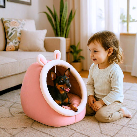 pinscher nain allongé dans couchage pour chien quatre saisons coquino