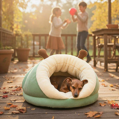 pinscher nain endormi dans grotte pour chien escardou verte 