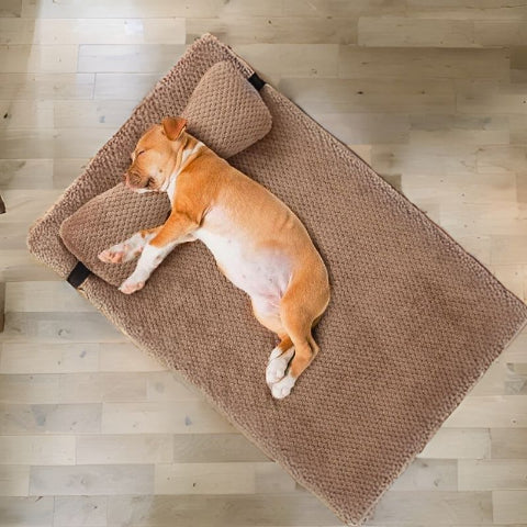 pitbull allongé sur coussin pour chien déhoussable grande taille confo