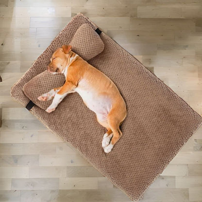 pitbull allongé sur coussin pour chien déhoussable grande taille confo