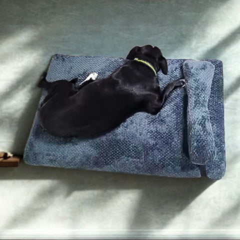 pitbull noir allongé sur coussin pour chien déhoussable moelleux confo