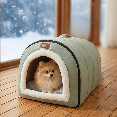 poméranien llongé dans niche d'intérieur pour chien verte mimosa