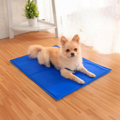 poméranien allongé sur tapis rafraichissant chien bleu jeltop
