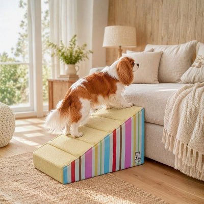 Cavalier king charles montant rampe escalier pour chien Pastaline antidérapante