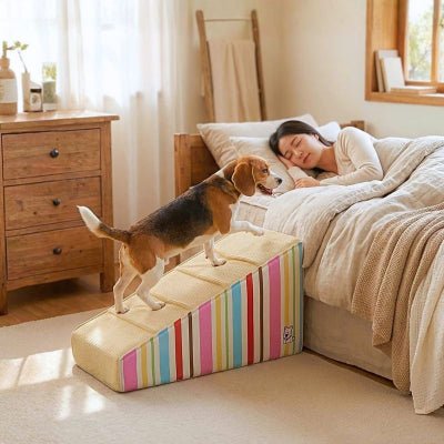 Beagle montant une rampe escalier pour chien Pastaline mousse haute densité