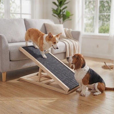 Corgi et basset utilisant la rampe pour chien Pako en bois pin massif robuste