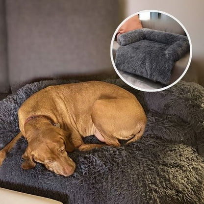 ridgeback couché dans panier à chien gris foncé couvre sofa