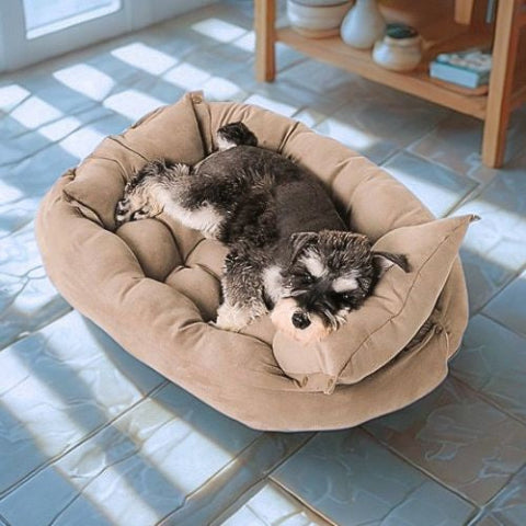 schnauzer allongé sur coussin chien marron 3 en 1