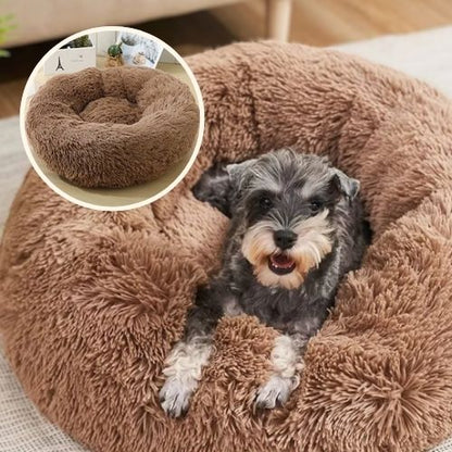 schnauzer couché dans panier chien marron rond