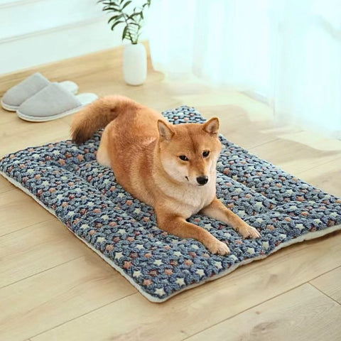 shiba couché sur tapis chien bleu avec etoiles flanelle respirante