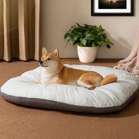 shiba innu allongé sur matelas pour chien blanc gris nuagio