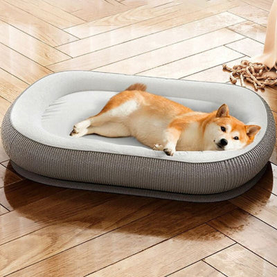 shiba inu allongé dans panier chien gris pisco