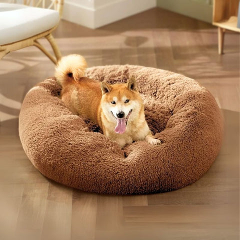 shiba inu allongé dans panier xxl pour chien marron douillet