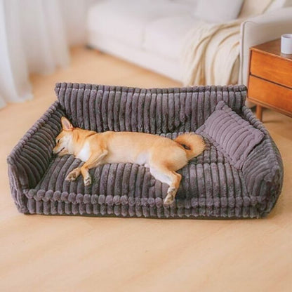 shiba inu allongé sur canape chien antidérapant luxus