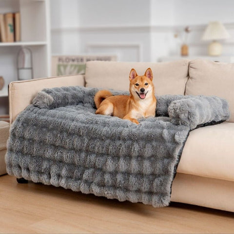 shiba inu allongé sur canape lit chien gris fluffy