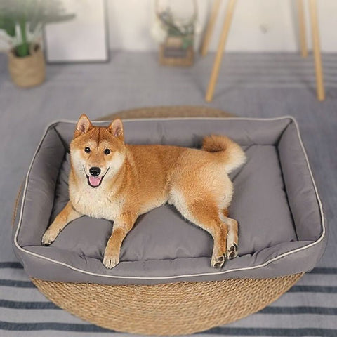 shiba inu allongé sur coussin chien durable imperméable