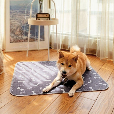 shiba inu allongé sur tapis absorbant chien gris nenos