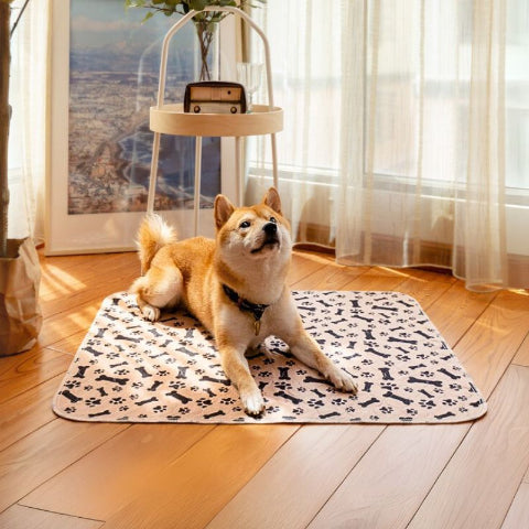 shiba inu allongé sur tapis absorbant chien marron nenos
