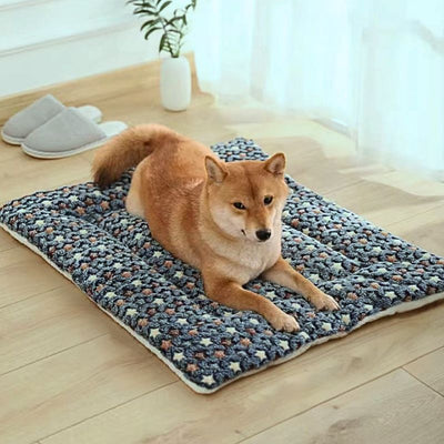 shiba inu allongé sur tapis chien bleu foncé avec étoiles