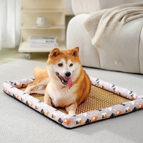 shiba inu allongé sur tapis pour chien rafraichissant marron rotini