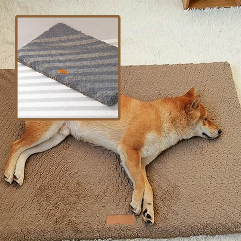 shiba-inu-allonge-sur-un-coussin-pour-chien-rectangulaire-marron-et-dans-le-coin-superieur-gauche-une-photo-carree-d-un-coussin-rectanguaire-gris-fonce