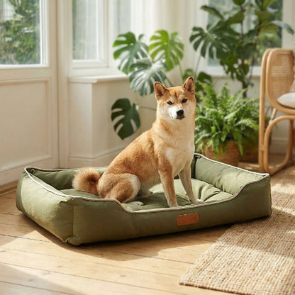 shiba inu assis sur coussin chien vert imperméable