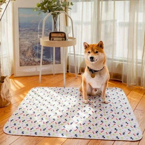 shiba inu assis sur tapis absorbant chien blanc nenos