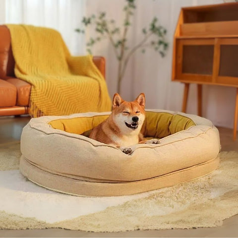 shiba inu couché dans lit pour chien beige ovalon