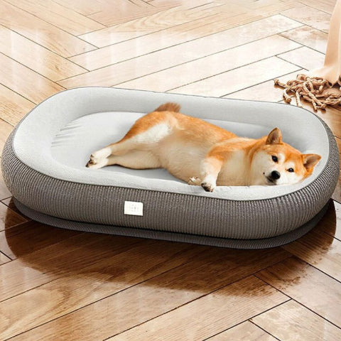 shiba inu couché dans panier chien gris pisco