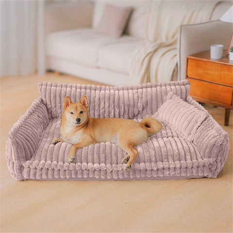 shiba inu couché sur canape chien rose luxus