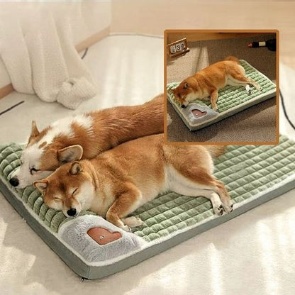 shiba inu couché sur coussin chien durable protège cervicale