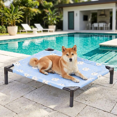 shiba inu couché sur lit de camp antidérapant bleu bondaflex