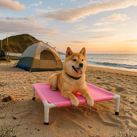 shiba inu couché sur lit de camp chien aventure