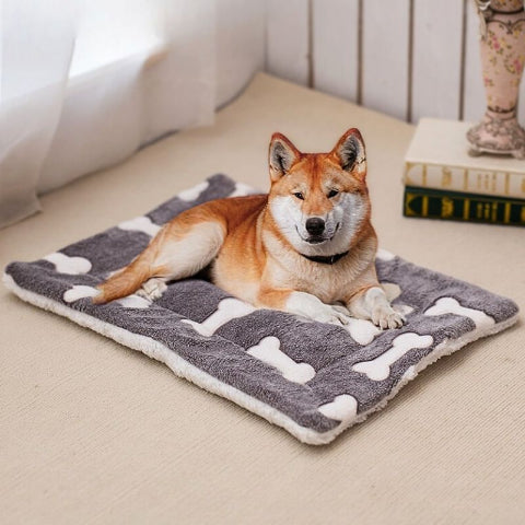 shiba inu couché sur tapis chien noir os réversible