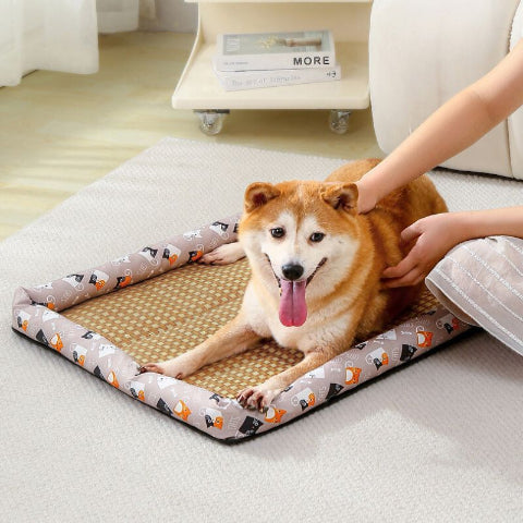 shiba inu couché sur tapis pour chien rafraichissant rotin rotini