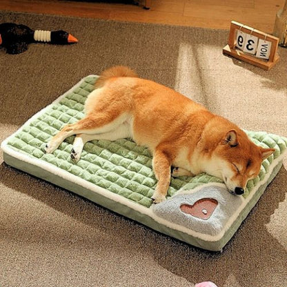 shiba inu endormi sur coussin chien déhoussable protège cervicale
