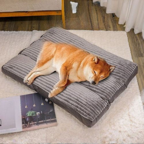 shiba inu endormi sur coussin chien gris housse amovible